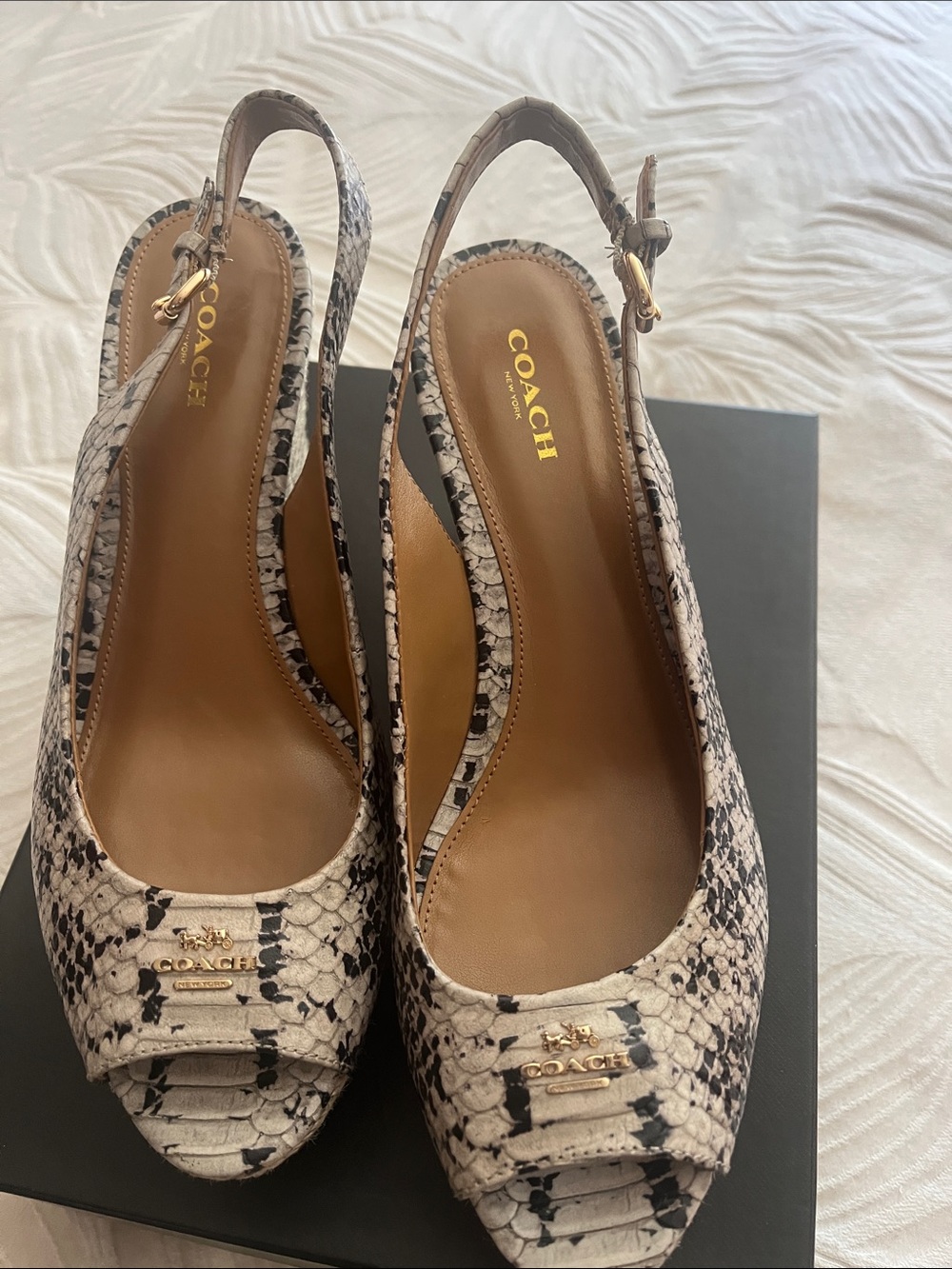 Coach Snake-Print Slingback Pumps in Black and Cream - Picture 2 of 3